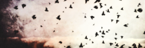 walktomm0's profile banner image