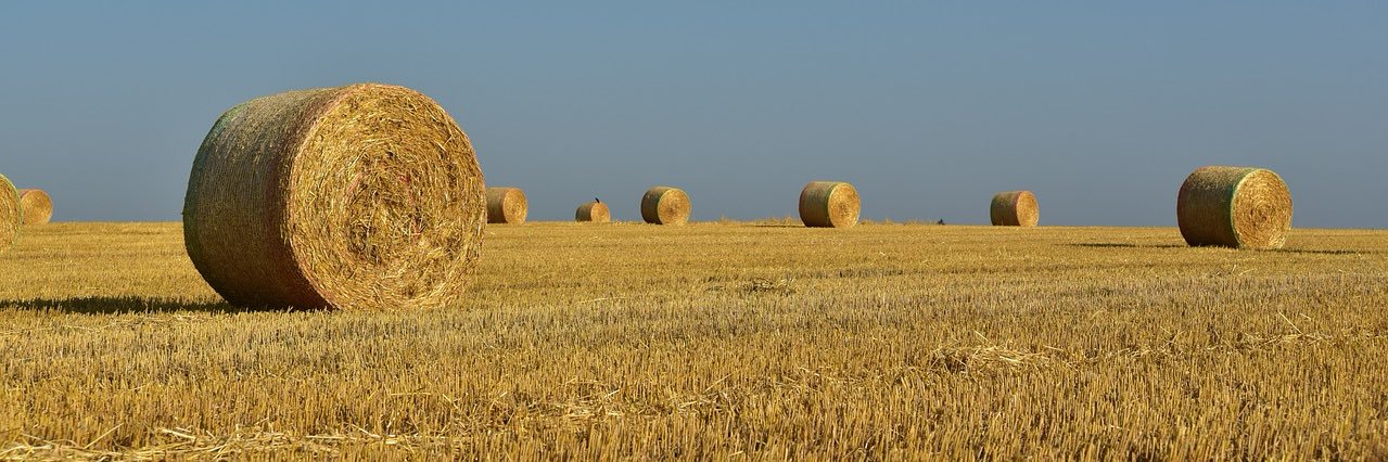 Washington Farm Bureau banner