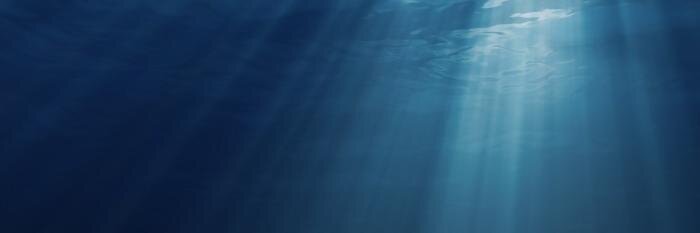 Pool_Coral's profile banner image