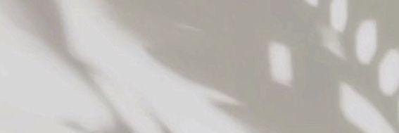 lunarmint_'s profile banner image