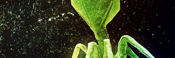 DeepShort7 Profile Banner