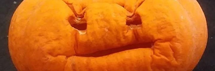 MoonDancerFurry's profile banner image