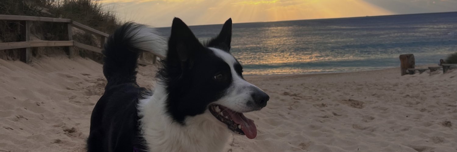 tegomez_'s profile banner image