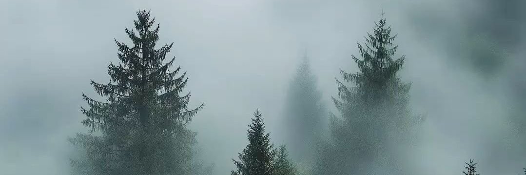 JustSome113's profile banner image