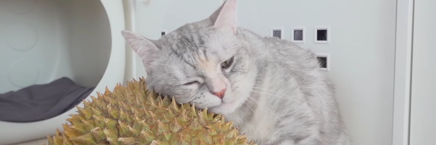 minmin*ก๊มันสะจัยส์ณื*🤙 banner