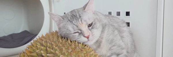 minminsfavor Profile Banner