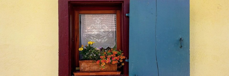 erminok's profile banner image