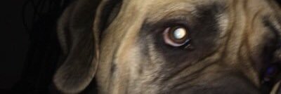 ericboggesss's profile banner image