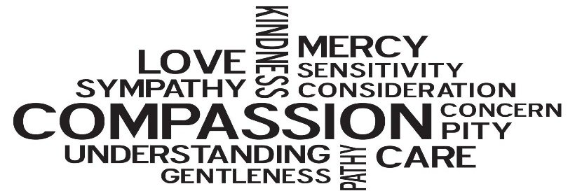 Nini L. (aka NiniNoona) 🏳️‍🌈 banner