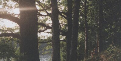 ninaneesbitt's profile banner image