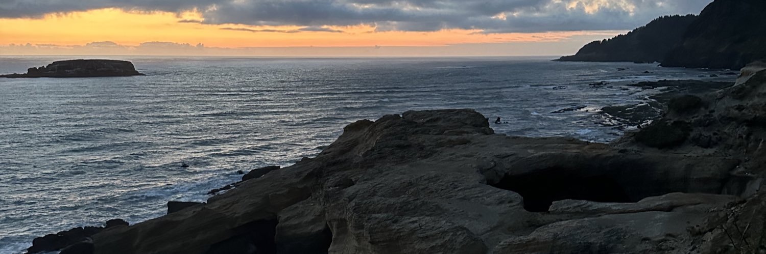 lschtz's profile banner image