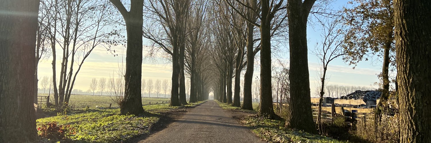 willemjancramer's profile banner image