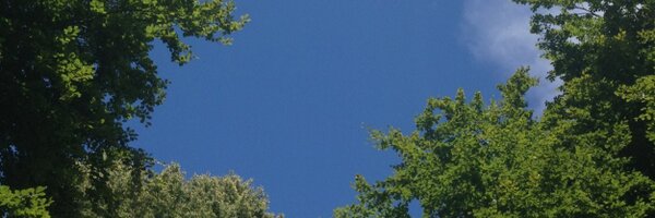 camillaley Profile Banner