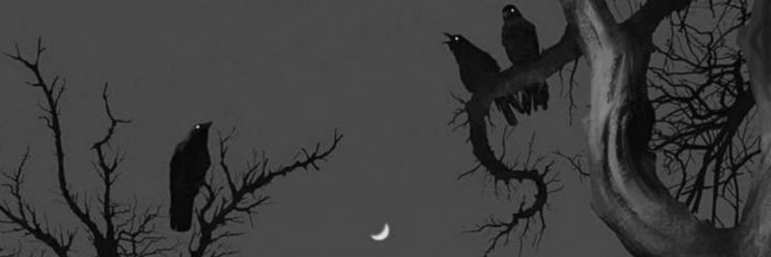 A_196o's profile banner image