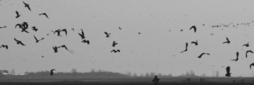 azoofqq's profile banner image