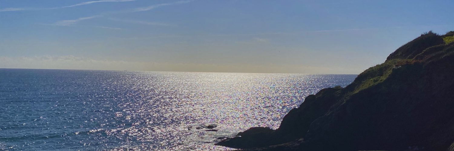 MillyHagger's profile banner image