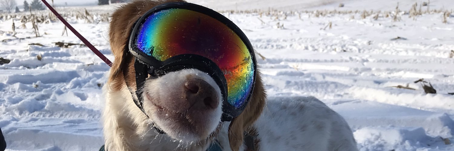 manyblights's profile banner image