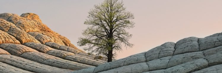 Nd0vu's profile banner image