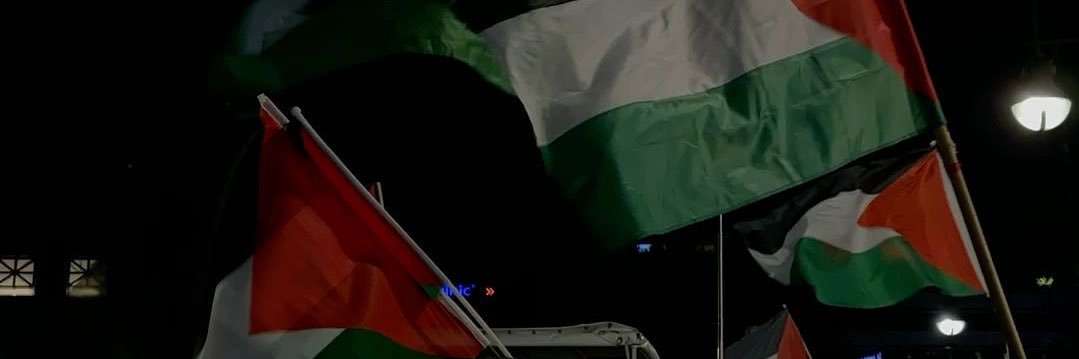 ltmsara's profile banner image