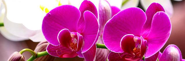 Maria58793826's profile banner image