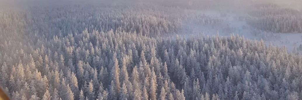 Frances Green banner