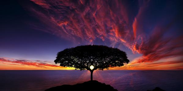 globy⭕️7 🦧🌍 banner