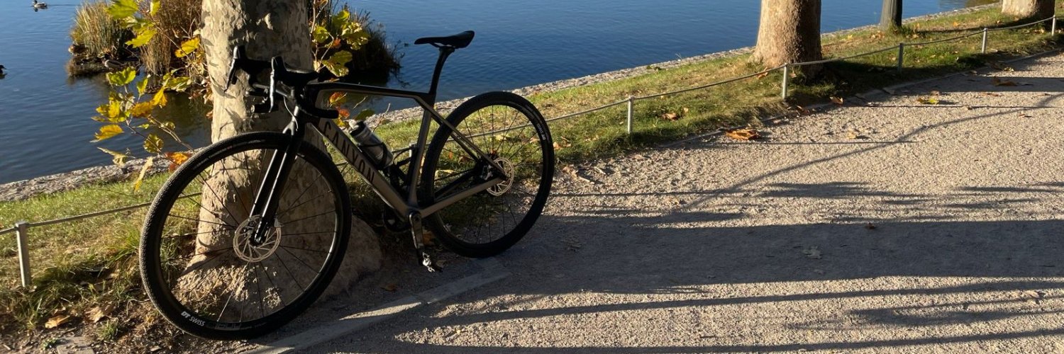 Luis Trigos banner