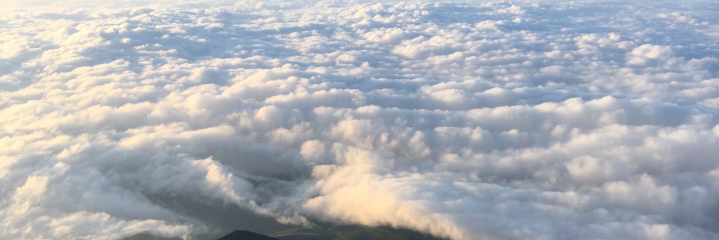 ttdyism198's profile banner image