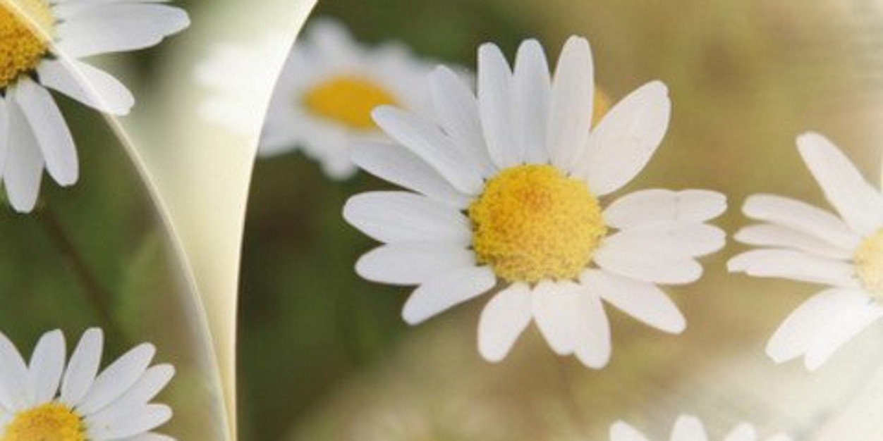 EhsaseeMw's profile banner image
