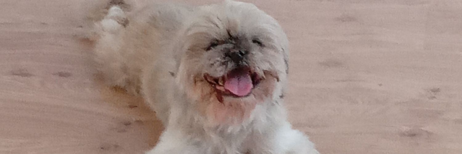 celiaapell's profile banner image