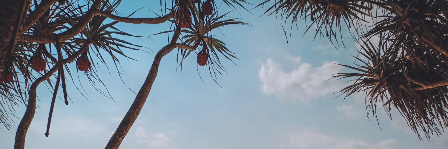 nelainii's profile banner image