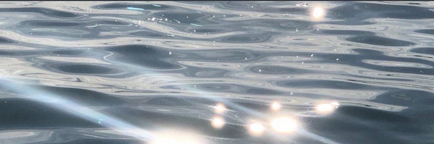 shougnsh's profile banner image