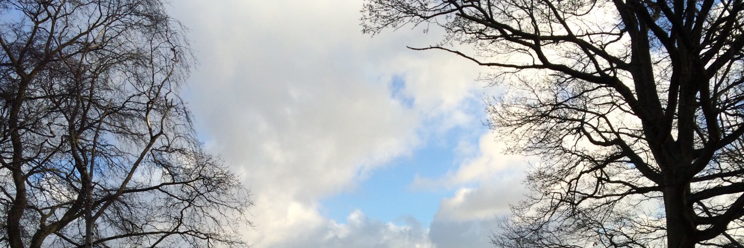 Meninger🇩🇰🇪🇺🇺🇦 banner