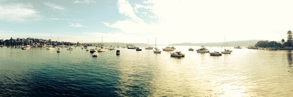 biinT Profile Banner