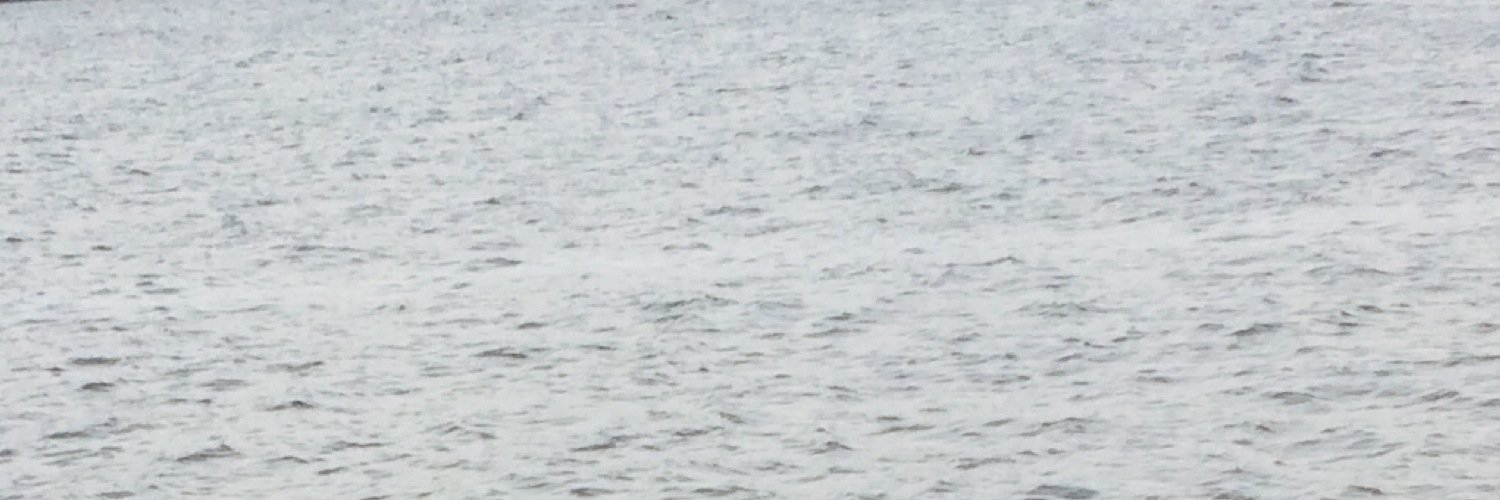 ausanase's profile banner image