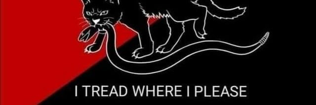 thisisendlesss's profile banner image