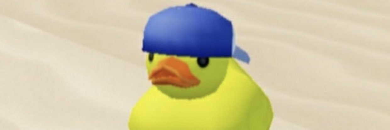 the ambiguous duck banner