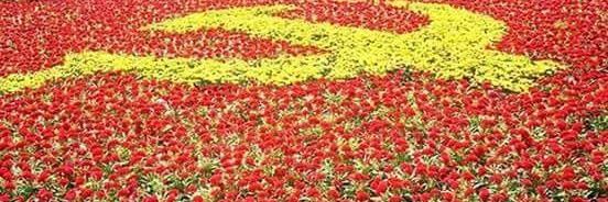 ☭ avin⚓ ☭ banner