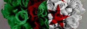 AHMED_KINA13's profile banner image
