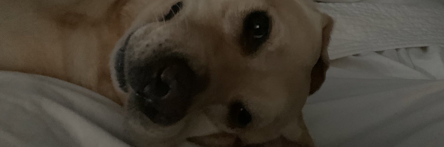 brianstone07's profile banner image