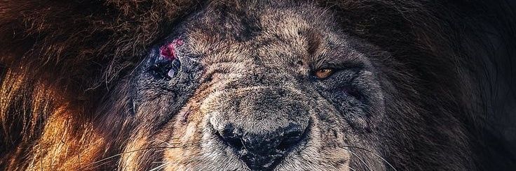 SpanishSuperFly's profile banner image