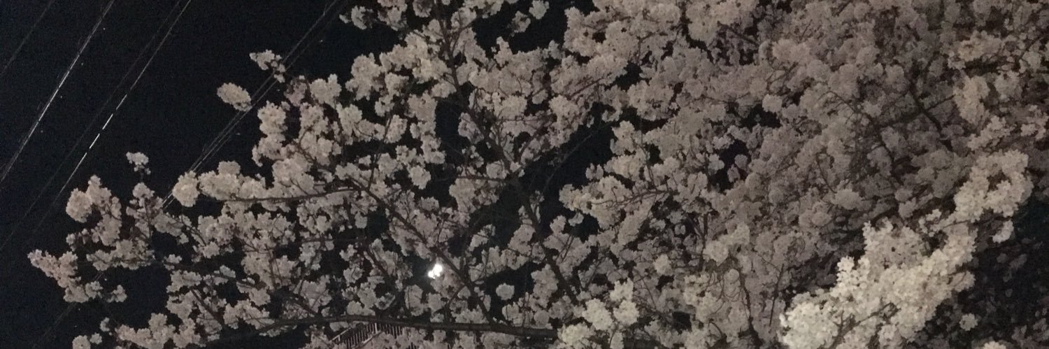 ninyaaaaaaan's profile banner image