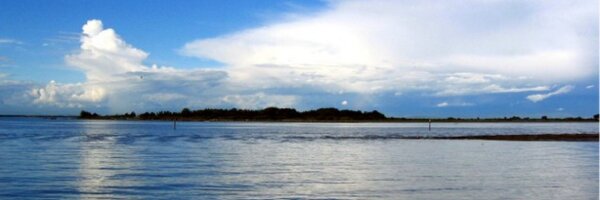 ThxGreg Profile Banner