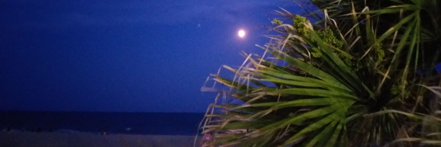 camatback's profile banner image
