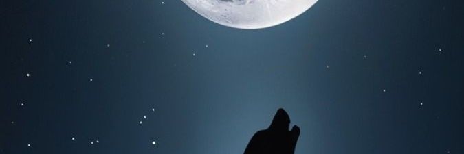 Connor_wolfgray's profile banner image