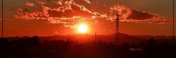 ASHNIE Profile Banner