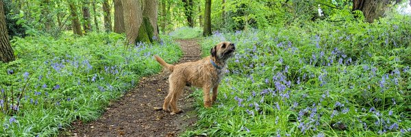 ktonky Profile Banner