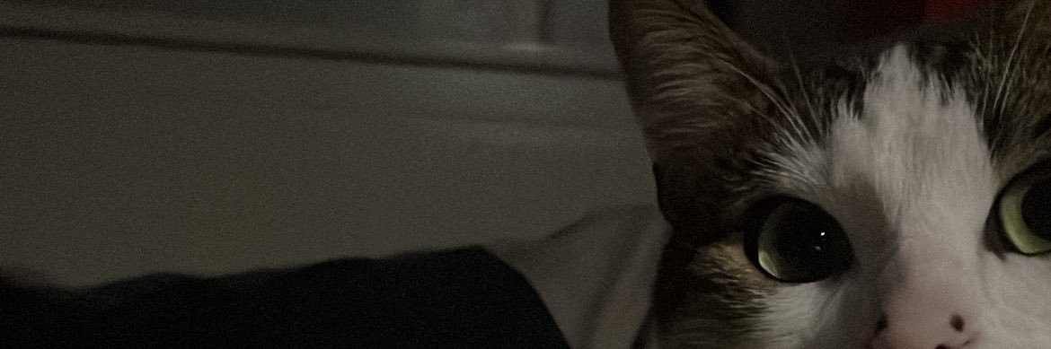 manon_sct's profile banner image