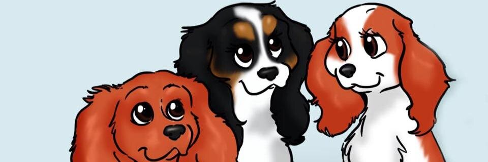 CavaliersInNeed's profile banner image