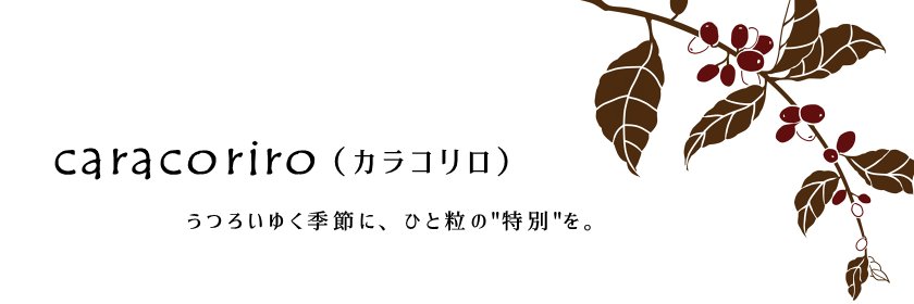 caracoriro's profile banner image